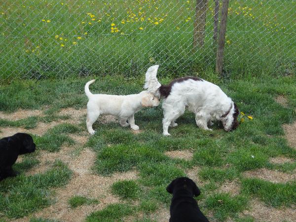 Mischa und ich