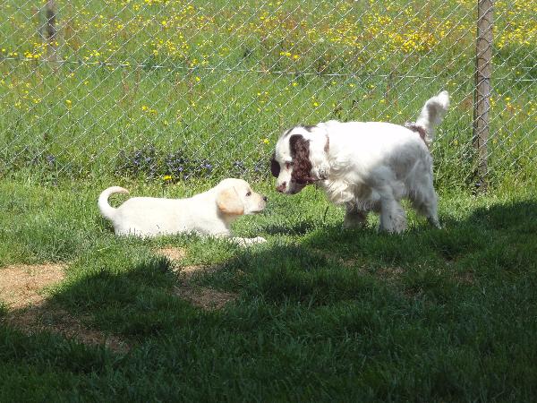 Mischa und ich