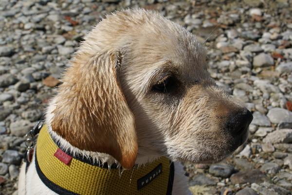 Wir am Bodensee