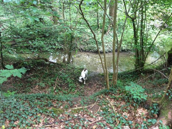 Wir wandern