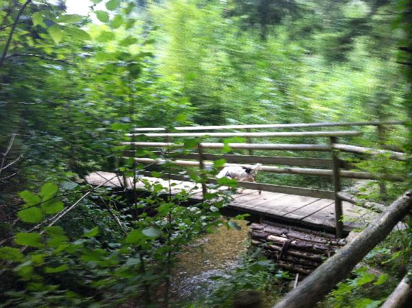 Wir wandern