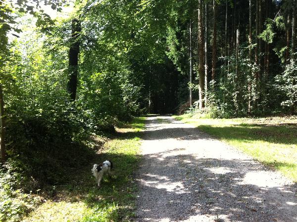 Wir wandern