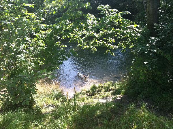 Wir wandern